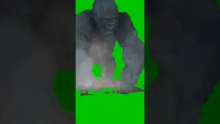 gorilla green screen video | gorilla green screen effect no copyright | 
