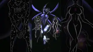 Carnitrix vs Chaquetrix/