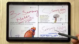 How to Use 3 Samsung Notes Apps at Same Time - Split Screen Mode