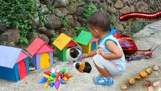 Petualangan Seru di Kebun: Menemukan Keong, Bekicot, Kepiting, dan Luwing Kaki Seribu