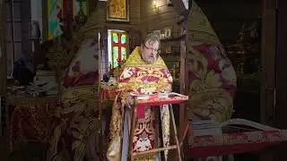 Евангелие и проповедь в Неделю о самарянке 2 июня 2024 года. протоиерей Александр Пелин