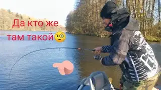 Таких рыб ловить одно удовольствие Спиннинг Нарвал Аргумент отлично справился #рекомендации #fishing