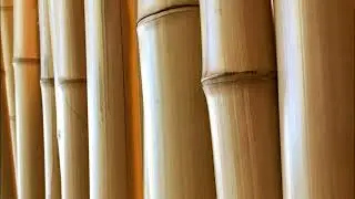 Bamboo Hit Sound Effect #04