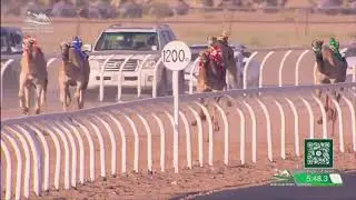 ش7 جود لـ ياسر محمد عواد العطوي (كأس الإتحاد السعودي للهجن مساء 3-10-2022) جذاع بكار 7:54:17