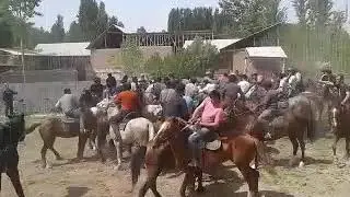 ок олтиндаги улок