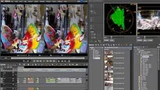 5.  3D Color Correction in EDIUS 7.