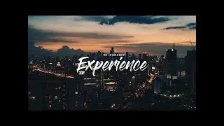 My Internship Experience
