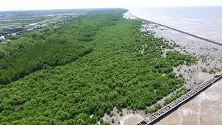Coast at Rach Dinh, Lung Ranh, Ca Mau (15/01/2018)