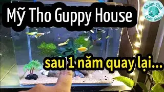 Cà phê Cá cảnh MY THO GUPPY HOUSE sau 1 năm kinh doanh..Có gì mới?