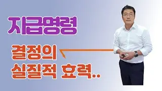 지급명령 결정의 실효성