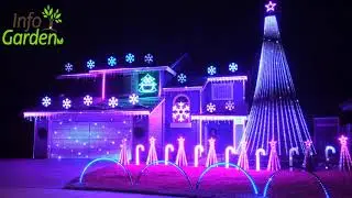 Los mejores jardines navideños con luces de este 2020 🌲🏠 Decoracion navidad 2020