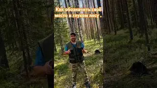 Как обозначить себя в лесу если вы потерялись#потеряшка #лес#выживания#юмор
