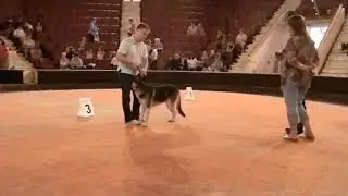 2012 год г. Рязань эксперт Швец И.Л ринг вео