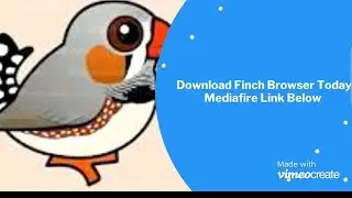 Free Browser Finch Browser Simple Lite And Fast Browser Please Download Link Below