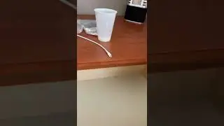 Magic