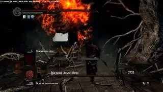 Dark Souls Мудрый демон огня против косы отнятия жизни (НГ+7, без лечения)