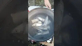 28 августа 2023 г.