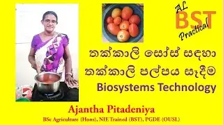 Making tomato pulp for tomato sauce | BST Practical |Biosystems Technology