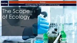 The Scope of Ecology | Ecology and the Biosphere | Unit 8. Ecology