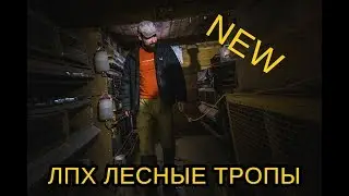 ЛПХ "Лесные Тропы" - жизнь в деревне, поездки в др. деревни и город, деревенский быт