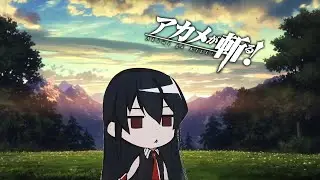 Akame Ga Kill Character Break Down (No Spoilers)