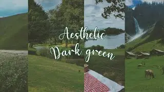 Tutorial vsco | Aesthetic dark green | photographer priset |