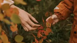 Orchestra L'anello Musicale · Panitti Michele Biki. Autumn Leaves