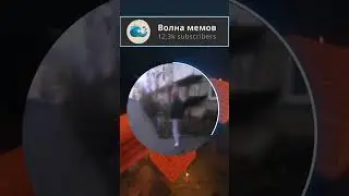 #волнамемов #кружочки