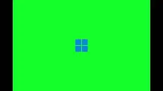 Windows 11 Startup Green Screen