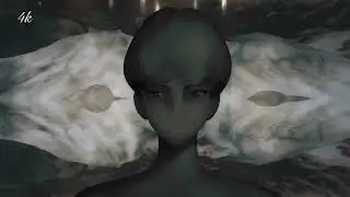 quality test