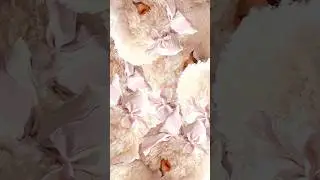 One week of ‘Reasonable Woman’ 💓 https://sia.lnk.to/reasonablewoman - Team Sia