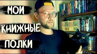 КНИЖНЫЕ ПОЛКИ ОБЗОР