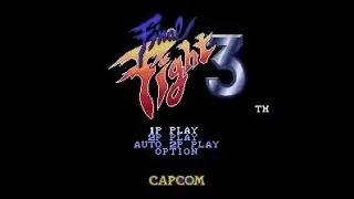 Final Fight 3 (2x Strength)