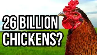 6 Livestock Animals With The Largest Global Populations And Countries With The Most Livestock