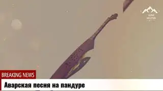 Аварская песня на пандуре