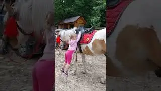 Кінні поїздки в гори. Яремче,Карпати це Україна❤️🤠