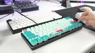 GMMK 60% w/ Stock Drop Holy Pandas Typing ASMR