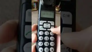 Wasting a Microsoft Scamer's Time