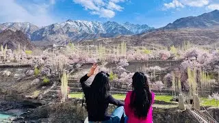 Let’s explore “Eco Village” Takmachik. 🌸Apricot Blossoms 🌸 