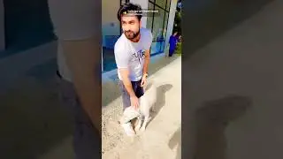 A day with cute Dogy 🐕 (Renbow) #trending #Dogylover #ytshorts #youtubshorts #farazvlogs #youtuber