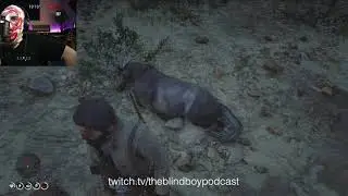The taming and accidental death of a wild horse