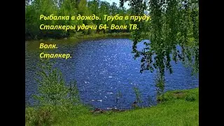 Рыбалка в дождь.Труба в пруду.Волк ТВ.Сталкеры удачи-64.
