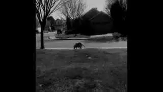 Sweet Dreams part 1 (1/2) (pizza productions)