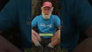4000-acre forest being planted back by nature