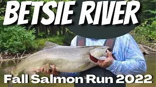 Betsie River Michigan Fall Salmon Fishing 2022