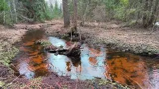 Река Страдинка. ч.16. Апрель 2024