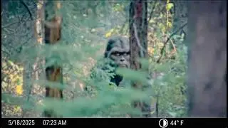 Hunters Capture TERRIFYING New Footage of 12-Foot Bigfoot While Tracking Giant Grizzly!