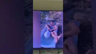 Гусики в телики🤭🤗 успели снять на видео💕#ручнойгусь#гусьобнимусь#жизньгусей