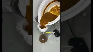 Freeze drying Medicinal Mushroom Tea 
