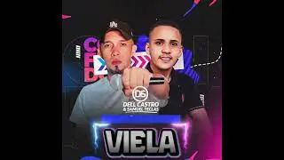 Viela